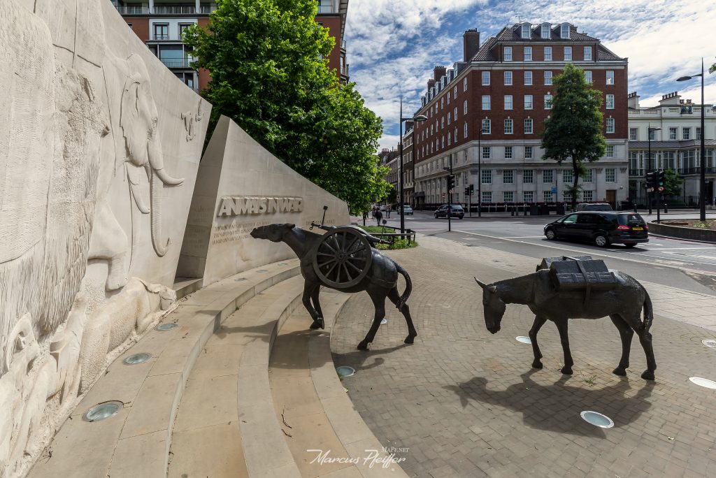 Animals in War Memorial in London, das Bild zeigt zwei Pack-Esel mit Waffen und Vorräte die sich erschöpft vorwärts schleppen.